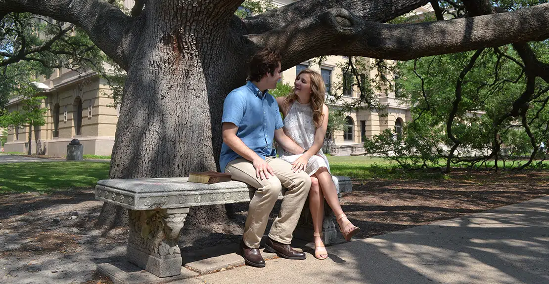 A man and woman look at each other lovingly on a park bench under a tree