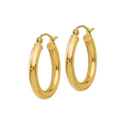 Gold Hoop Earrings